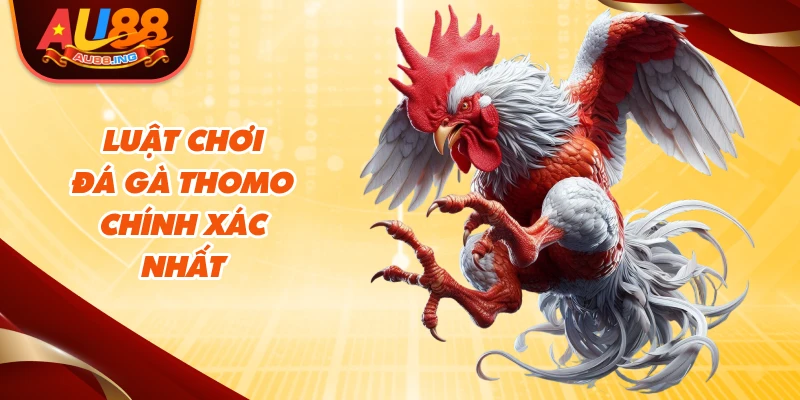 Luật chơi đá gà thomo chính xác nhất
