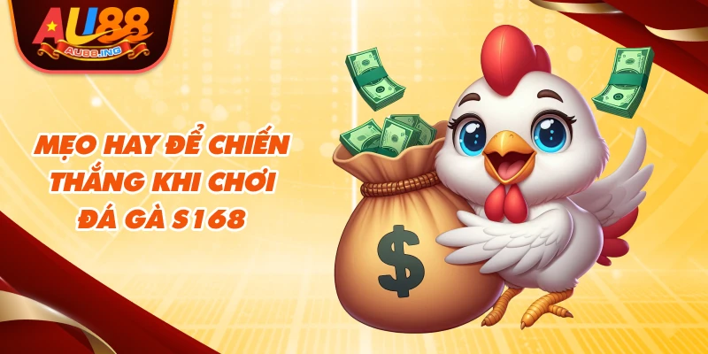 Mẹo hay để chiến thắng khi chơi đá gà S168